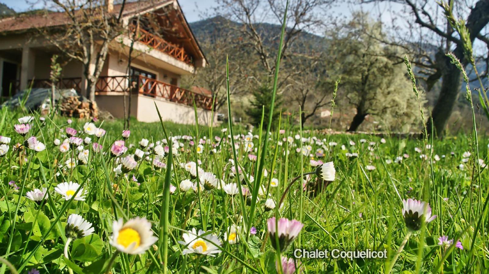 Chalet Coquelicot Kalavryta Exterior foto