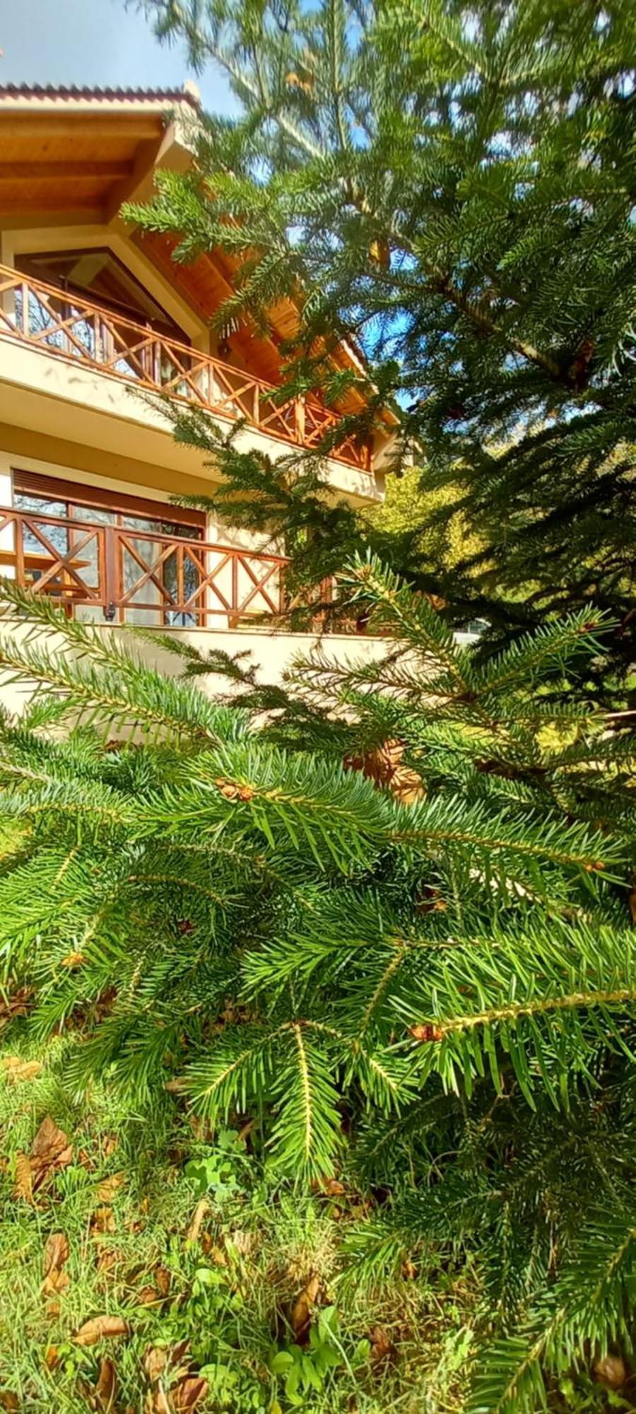 Chalet Coquelicot Kalavryta Exterior foto